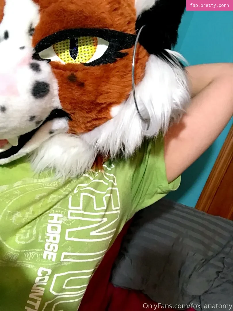 fox_anatomy - Photo #45