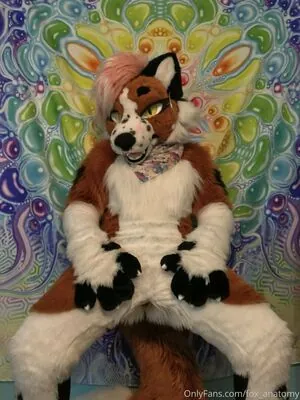 fox_anatomy