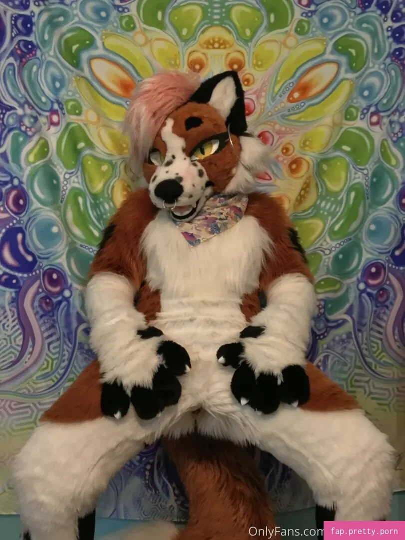 fox_anatomy - Photo #15