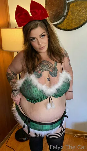 felyxfree