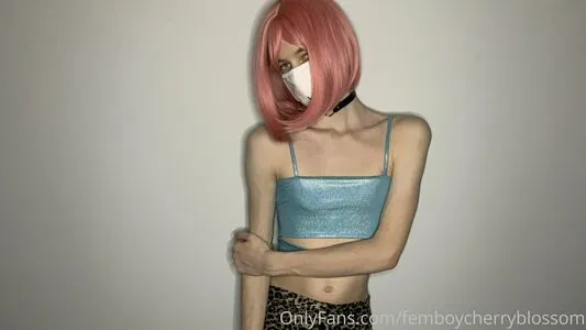 femboycherryblossom