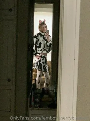 femboycherryblossom