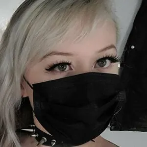 FitxKitten
