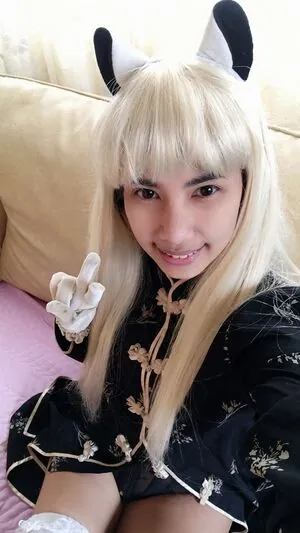 Fei Leng