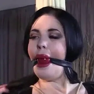 Foxy Menagerie Verre