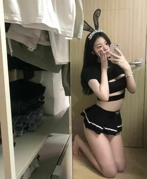 Foamharin