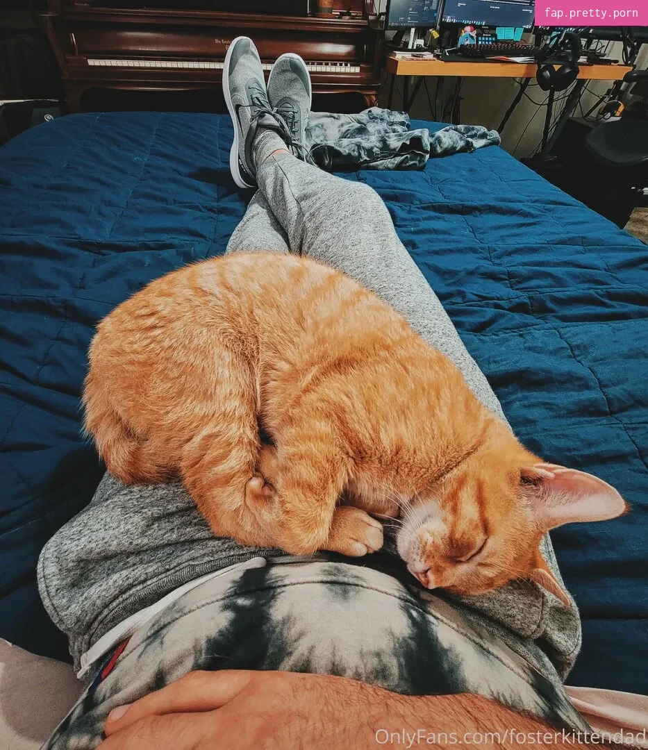 fosterkittendad - Photo #25