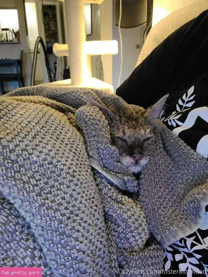 fosterkittendad - Photo #27