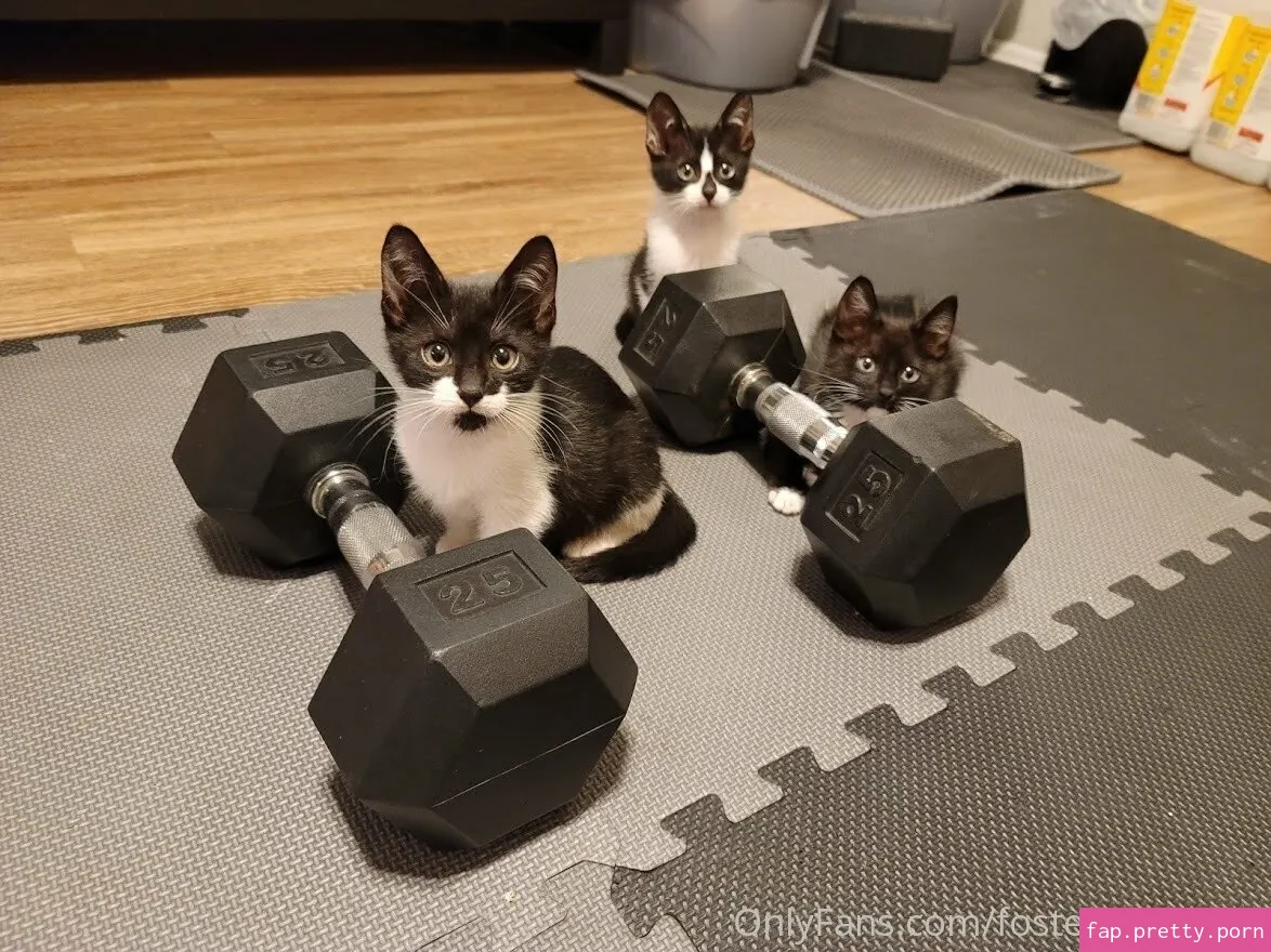 fosterkittendad - Photo #39