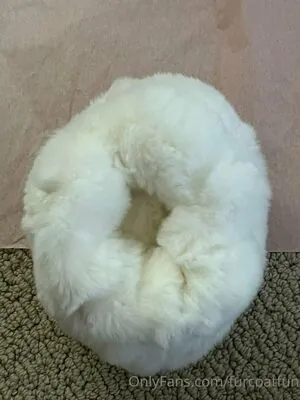 furcoatlove