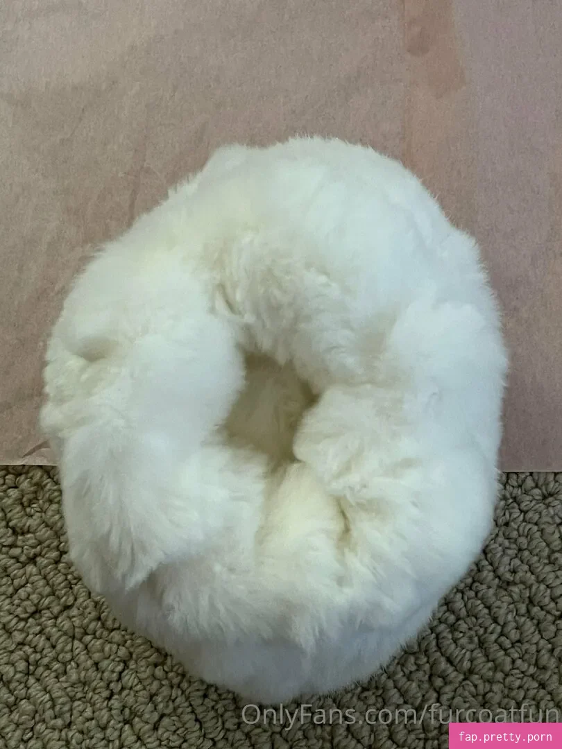 furcoatlove - Photo #24