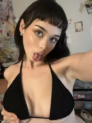 furrytwerk