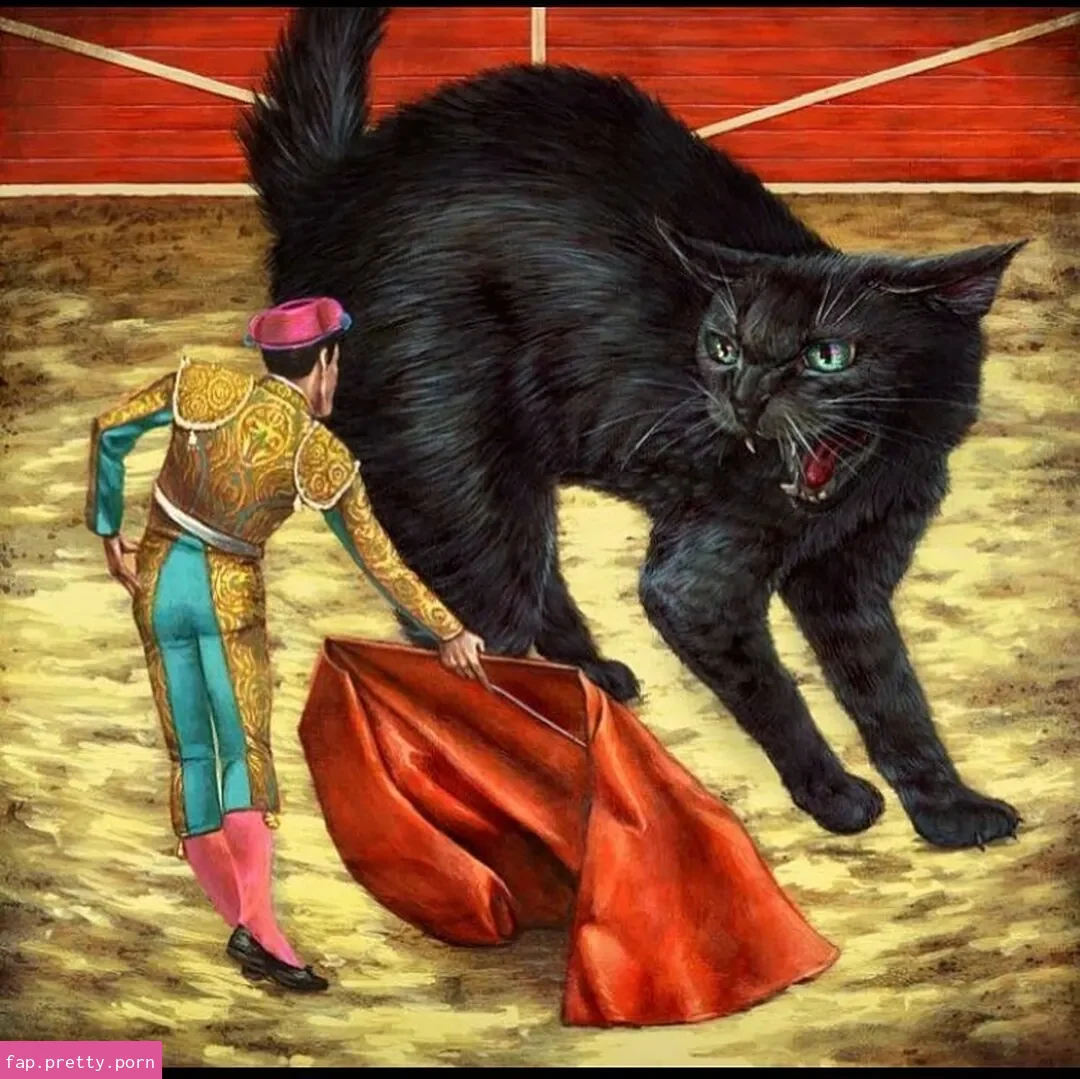 Gatina 22 - Photo #13