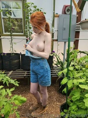GingerXSpinner