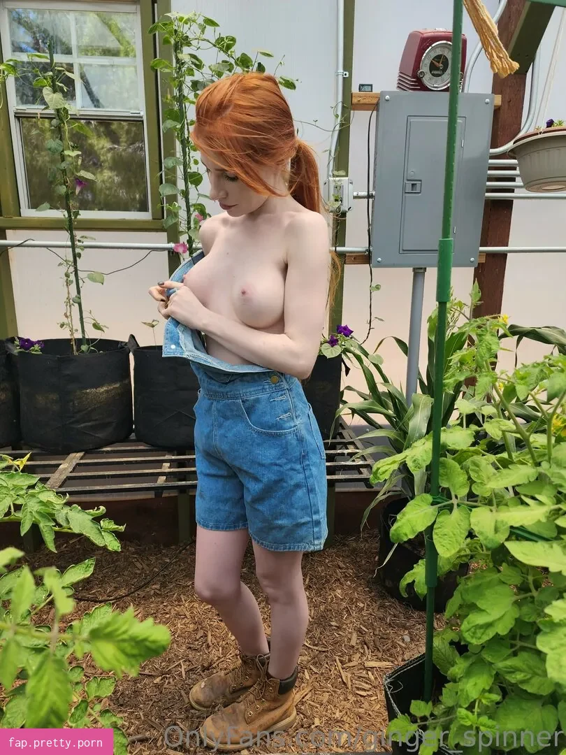 GingerXSpinner - Photo #26