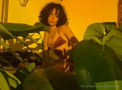 Gaiafaeye
