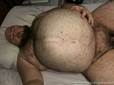 gainerbull
