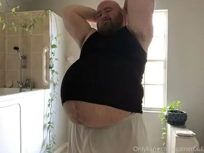 gainerbull