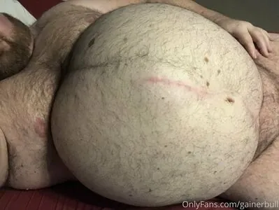 gainerbull