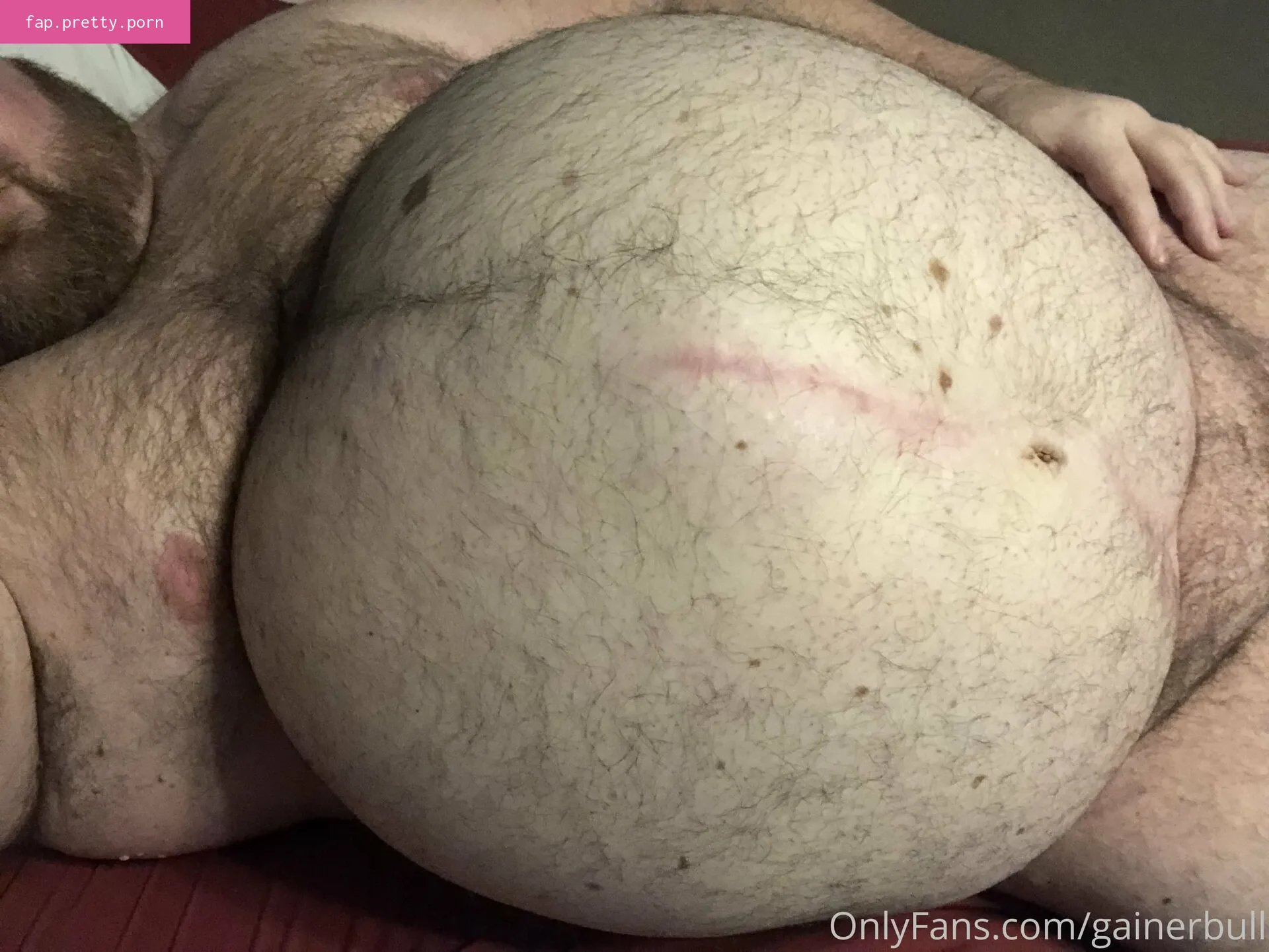 gainerbull - Photo #77