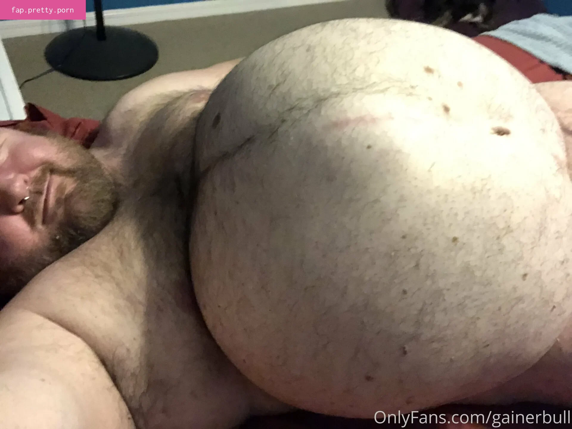 gainerbull - Photo #84
