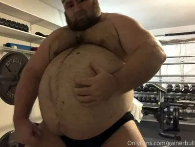 gainerbull