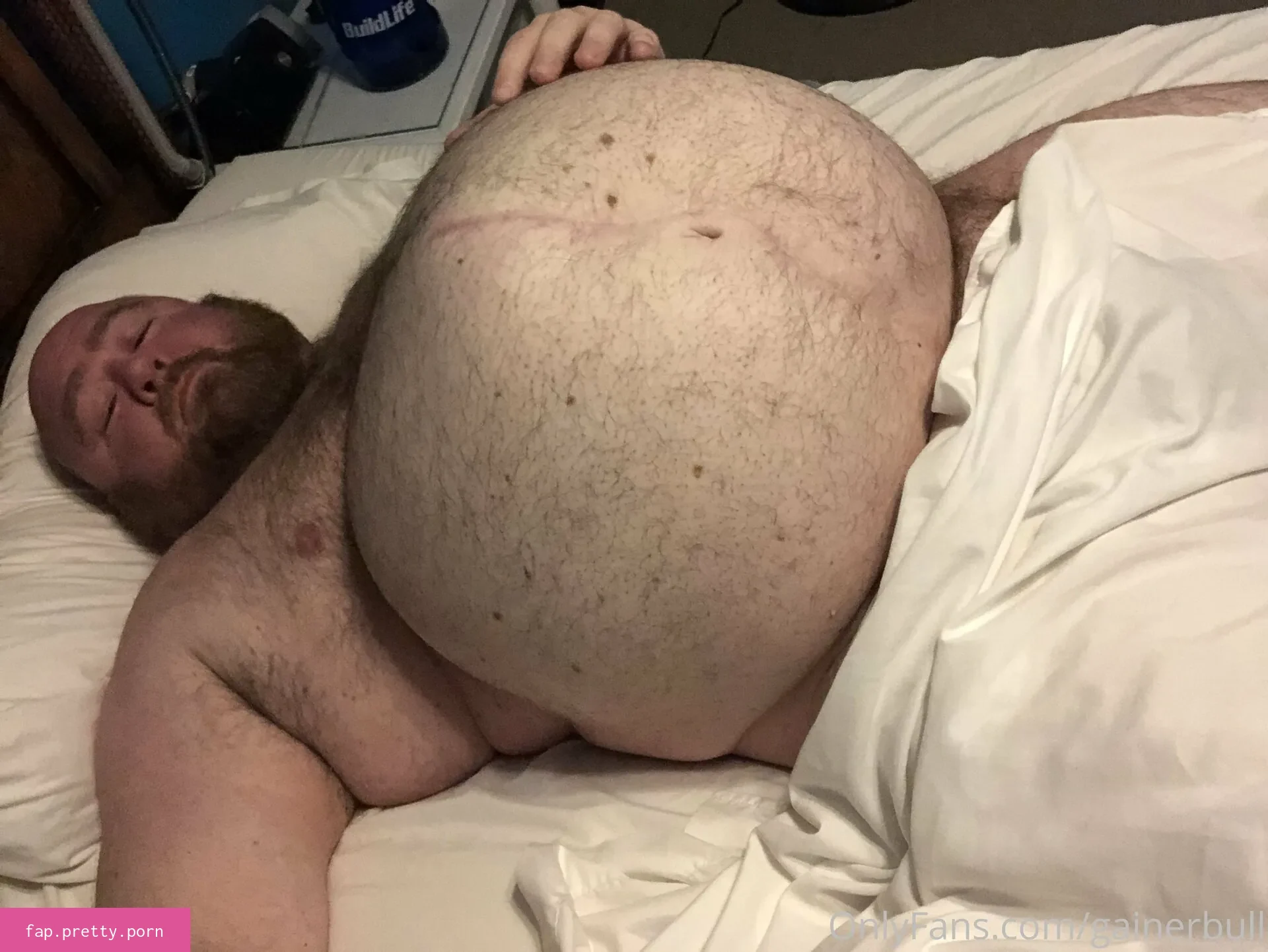 gainerbull - Photo #97
