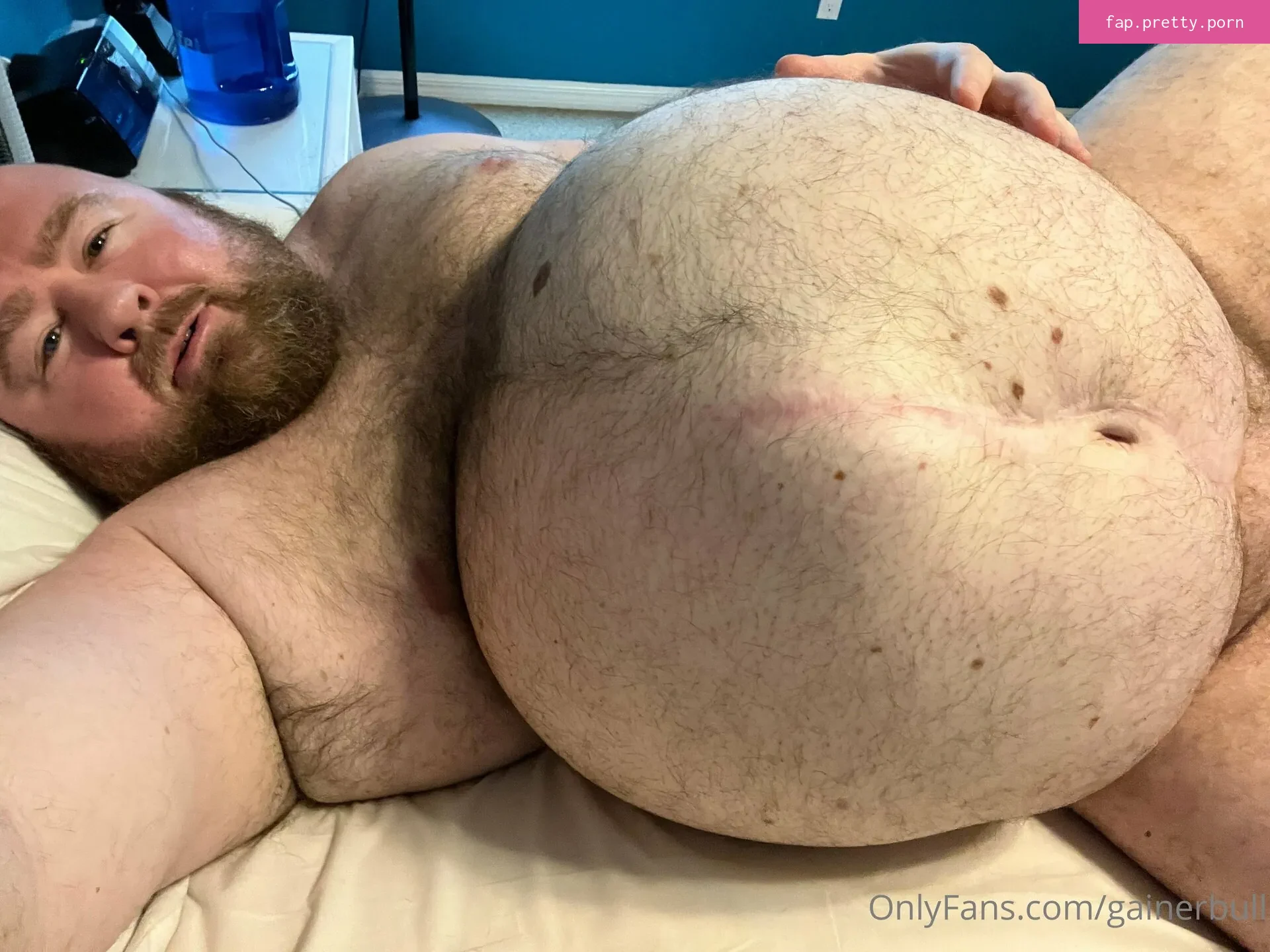 gainerbull - Photo #18