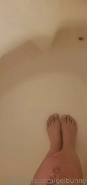 gelbunny