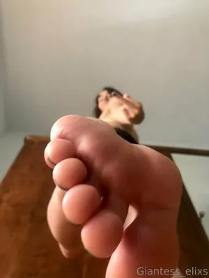 giantesselixs