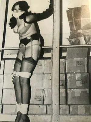 ginaraemichaels
