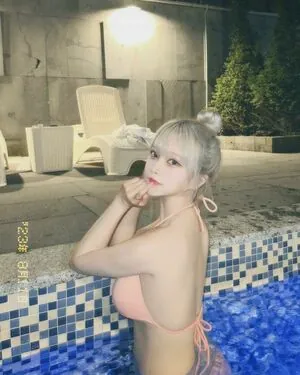 ginis2