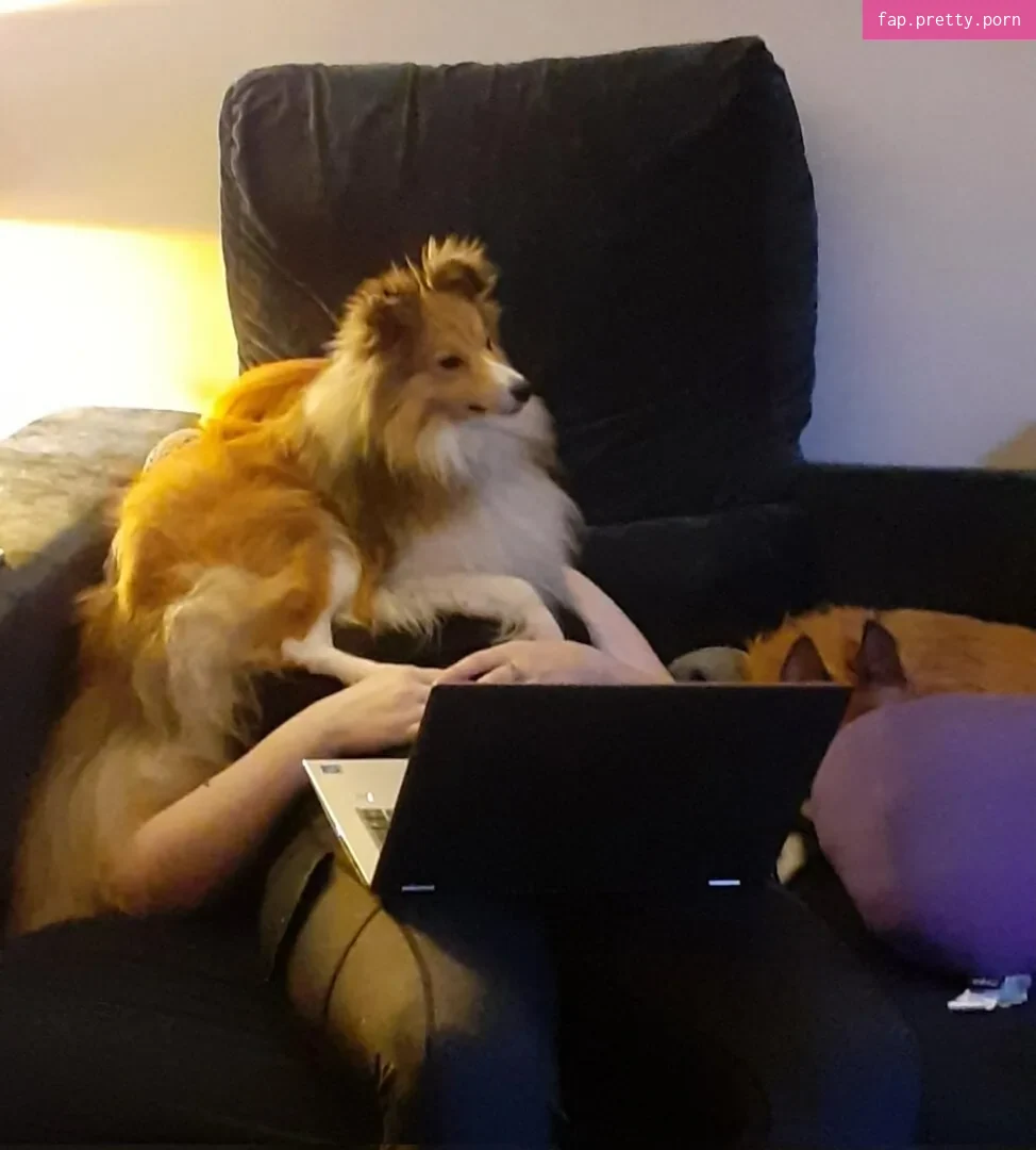 Ginger_nut - Photo #01