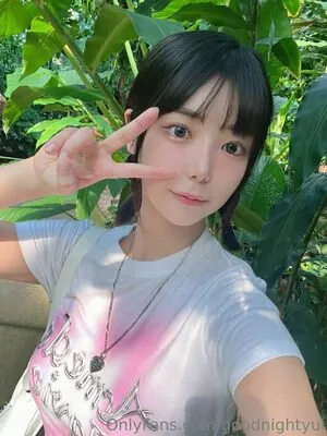 goodnightyui