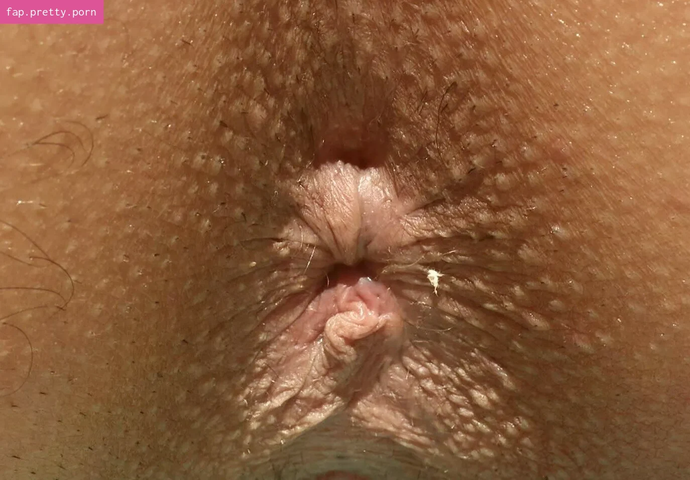 Hegre - Photo #85
