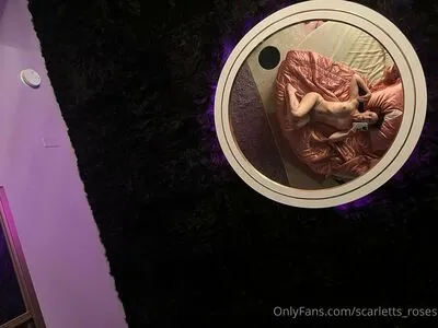 haleysvision