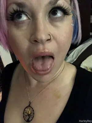 harleyrey