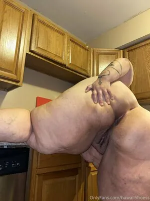 hawaii_bbw