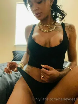 Harley Dean