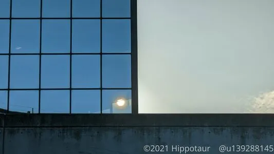 hippotaur