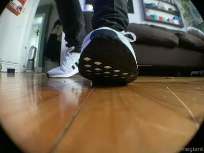 homegiant