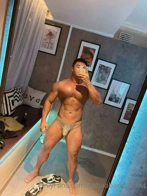 hubaobao_robust