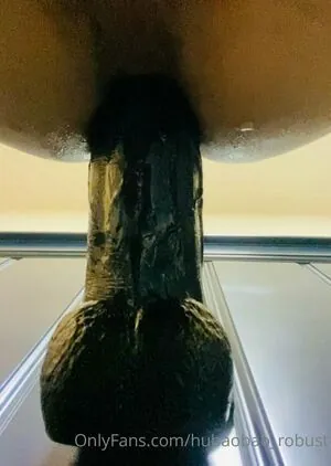 hubaobao_robust
