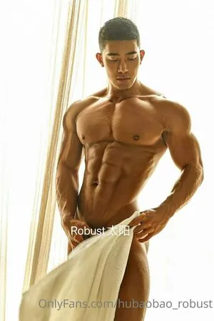 hubaobao_robust