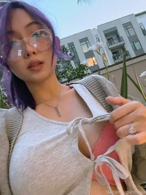 Harriet Sugarcookie