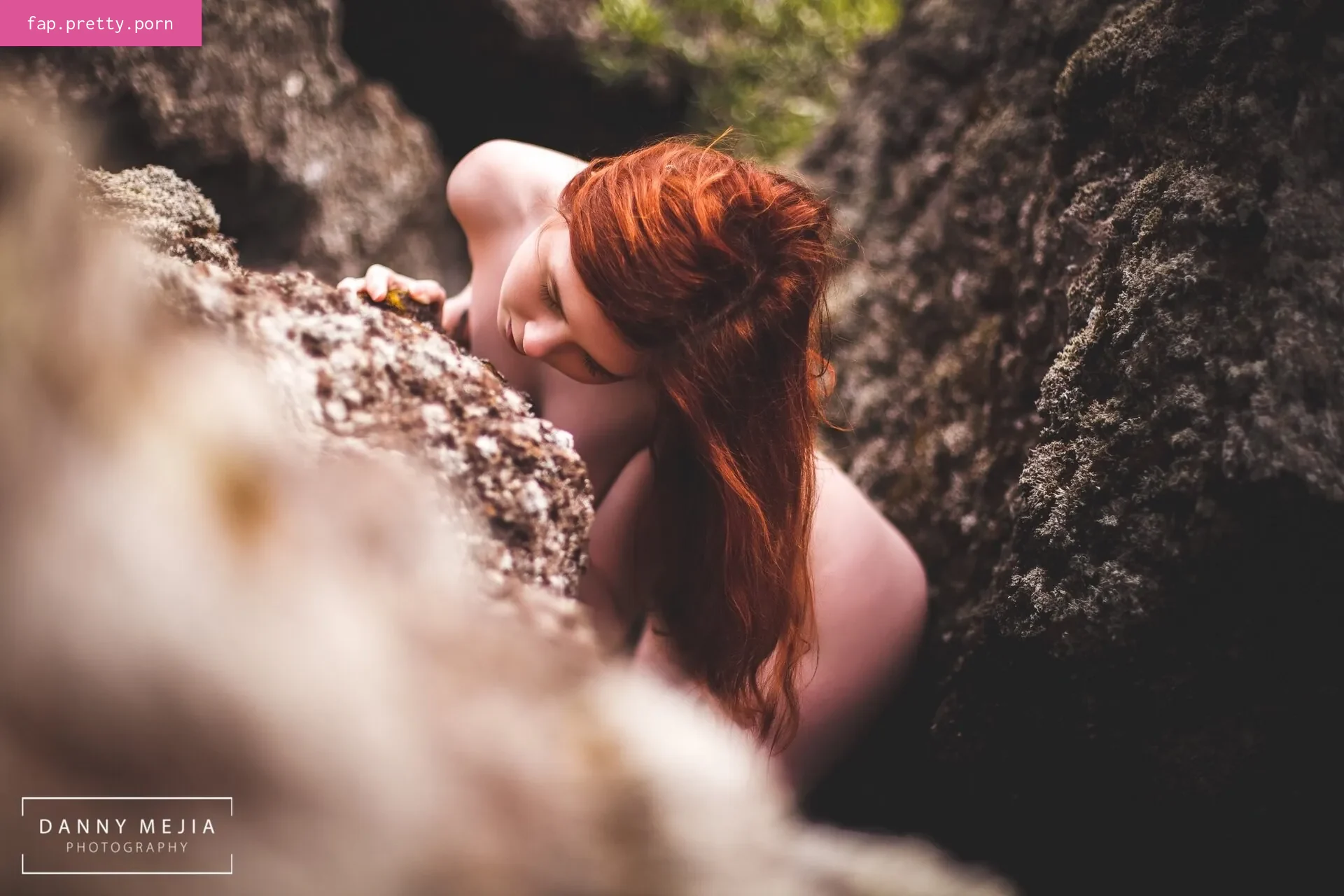 Icelandic Selkie - Photo #67