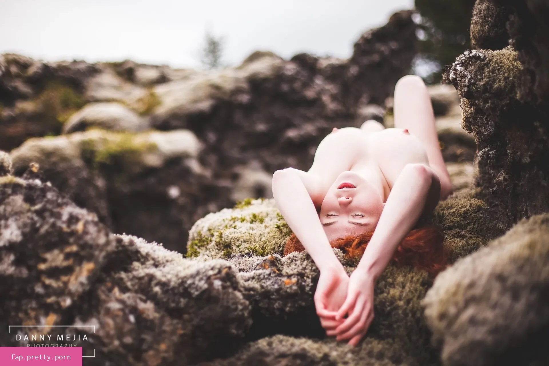 Icelandic Selkie - Photo #84