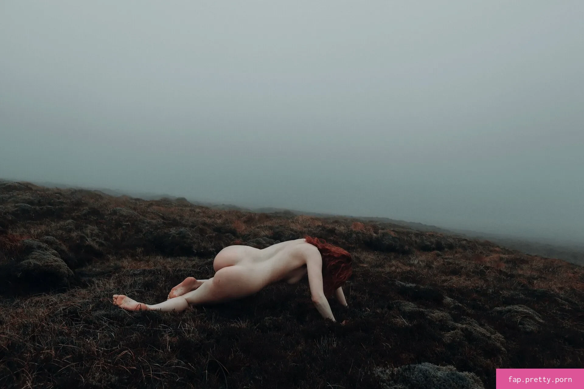Icelandic Selkie - Photo #51