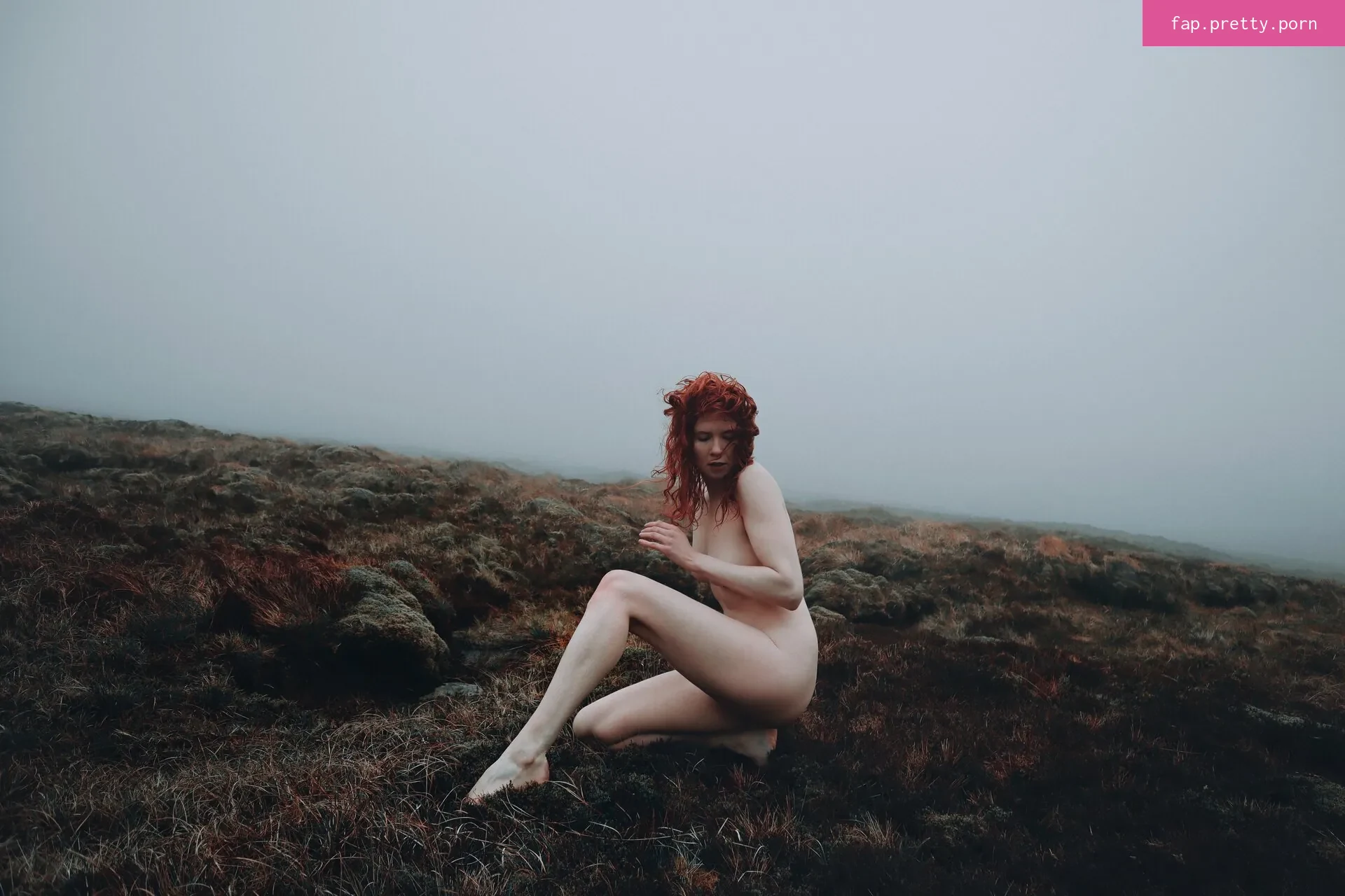 Icelandic Selkie - Photo #57