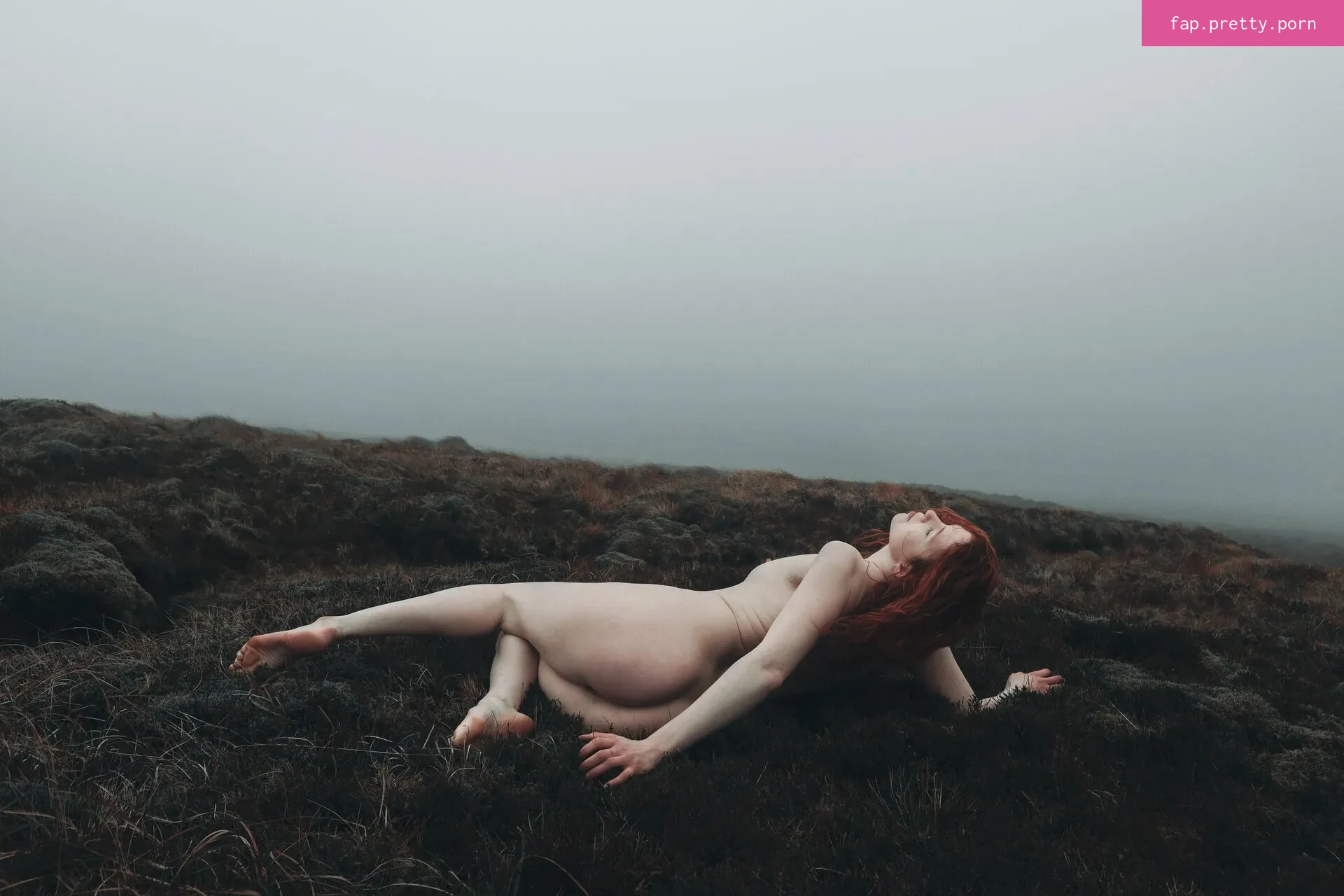 Icelandic Selkie - Photo #62